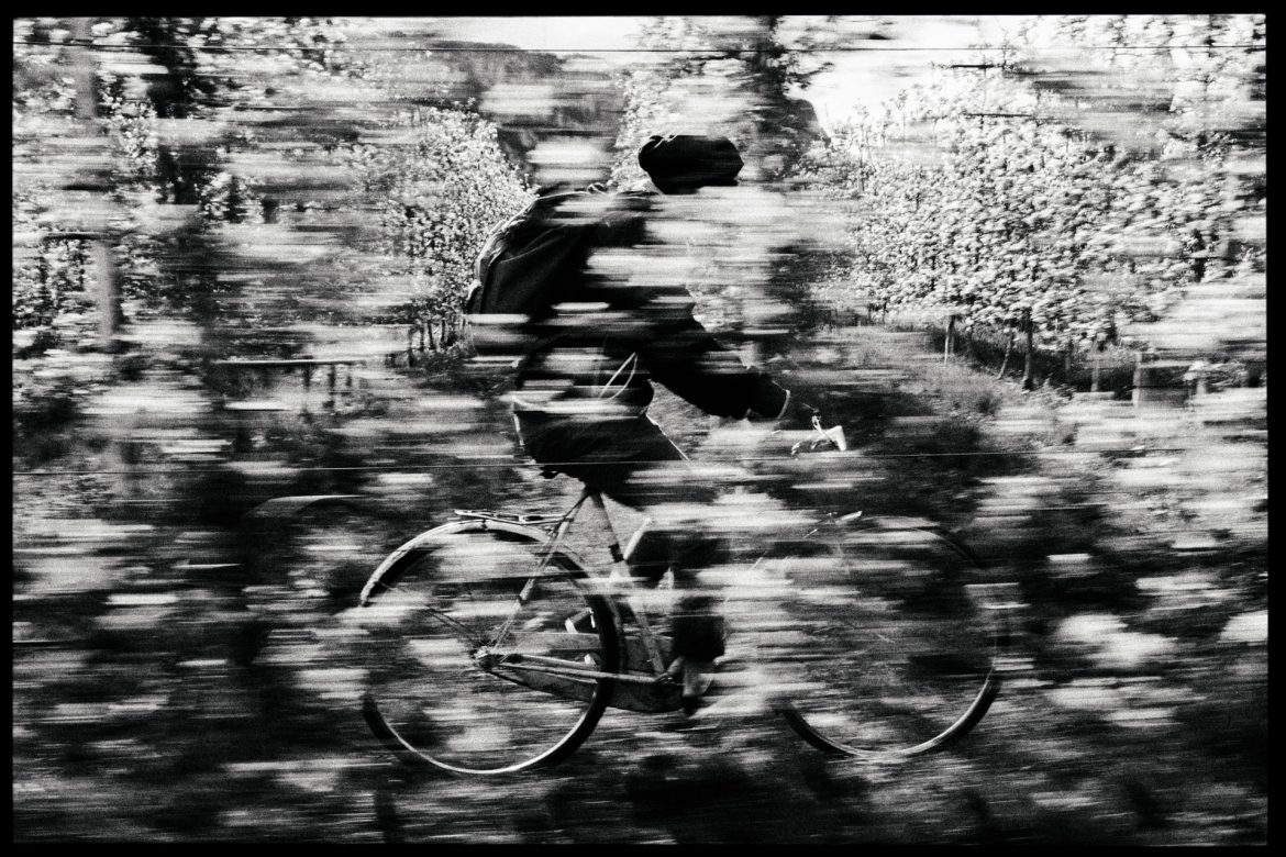Il viaggio più lungo